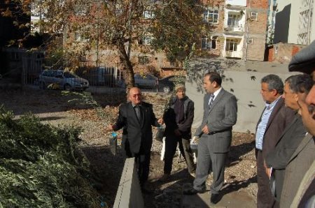 Kumluca Ziraat Odası'ndan Çiftçiye 50 Bin Zeytin Fidanı
