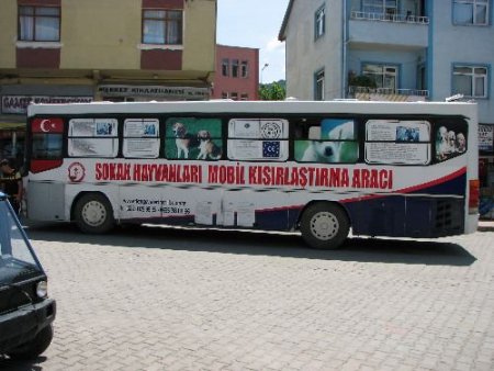 Kumluca'daki 100 Sokak Hayvanı Kısırlaştırılacak