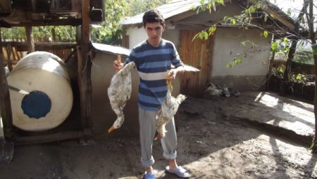 Kumru'daki sel felaketinin yaraları sarılıyor