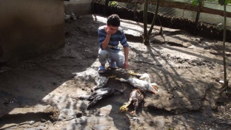 Kumru'daki sel felaketinin yaraları sarılıyor