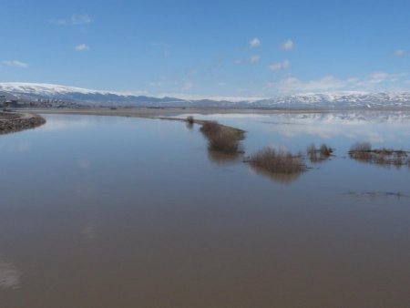 Kura Nehri Taşınca Ardahan Ovası Sular Altında Kaldı