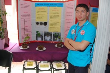 Kur'an-ı Kerim dinletilen bitki 3 kat daha fazla büyüdü