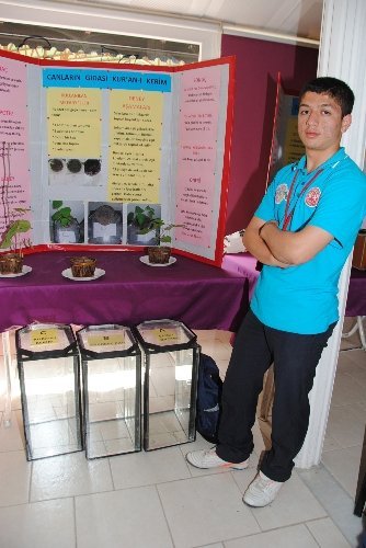 Kur'an-ı Kerim dinletilen bitki 3 kat daha fazla büyüdü