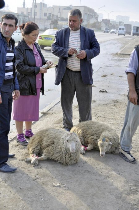 Kurban Bayramı Azerbaycan’da coşkuyla kutlanıyor