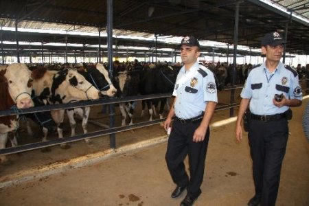 Kurban Bayramı Öncesi Polis Vatandaşı Uyardı