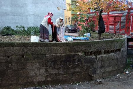 Kurban Keserken Rahatsızlanıp Öldü