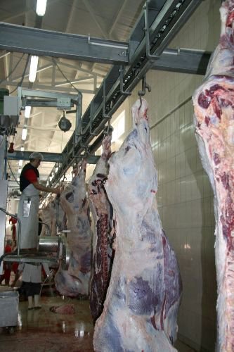 Kurbanlar Modern Tesiste Kesildi, Vatandaş Rahatladı