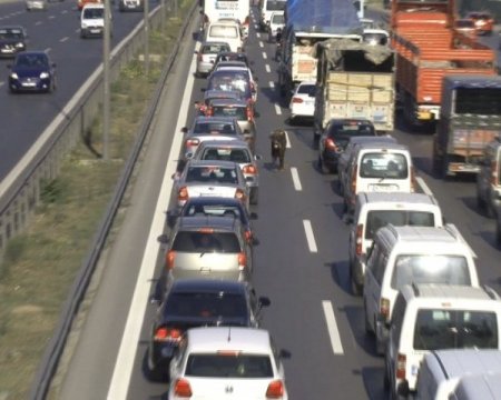 Kurbanlık boğa E-5’i birbirine kattı