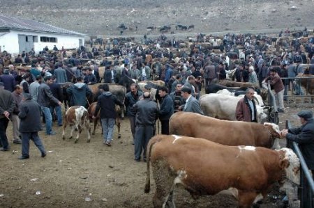 Kurbanlık Fiyatları Bu Sene El Yakacak