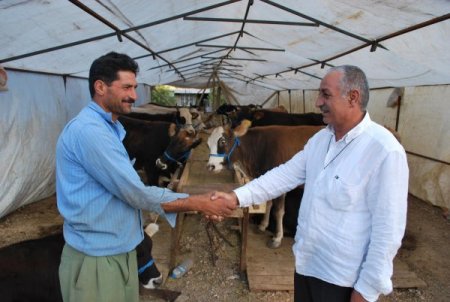 Kurbanlık hayvan satıcıları masrafların çokluğundan dertli