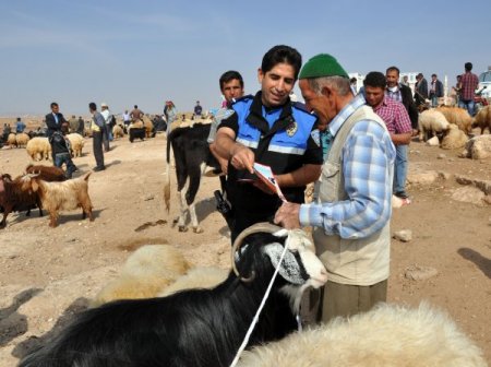 Kurbanlık pazarında sahte para uyarısı