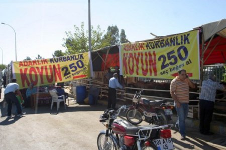 Kurbanlık satıcısı pankart açtı: Seç beğen al 250 lira