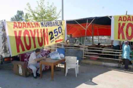 Kurbanlık satıcısı pankart açtı: Seç beğen al 250 lira