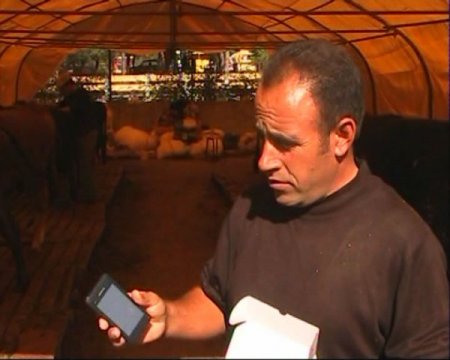 Kurbanlık satışında promosyon dönemi: Dana alana koç bedava