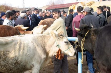 Kurbanlıklar El Yakıyor, Vatandaş Son Günü Bekleyecek