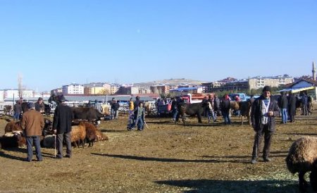 Kurbanlıklar Elde Kalınca Fiyatlar Düştü