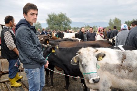 Kurbanlıklar Hayvan Pazarına İnmeye Başladı