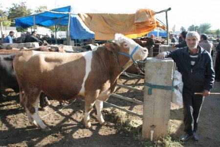 Kurbanlıklar pazara indi, denetimler artırıldı