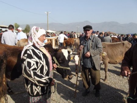 Kurbanlıklara hanım eli