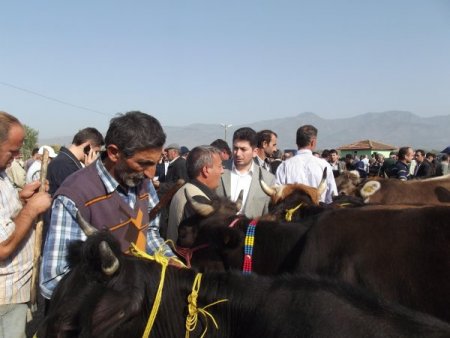 Kurbanlıklara hanım eli