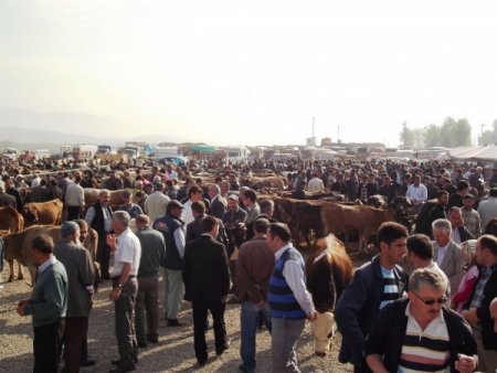 Kurbanlıklara hanım eli