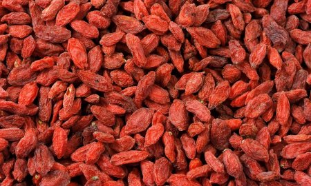 ‘Kurt Üzümü’ artık Çankaya’da yetişecek