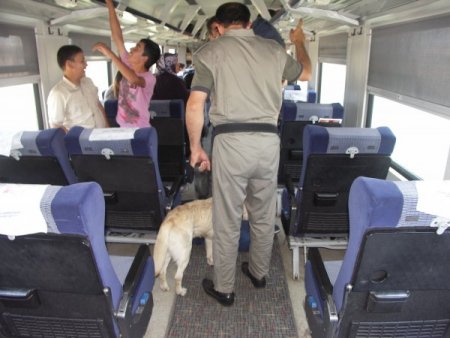 Kurtalan Ekspresi'nde arama yapıldı