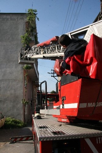 Kurtarmak için itfaiyenin seferber olduğu kedi, diğer evin çatısına sıçradı