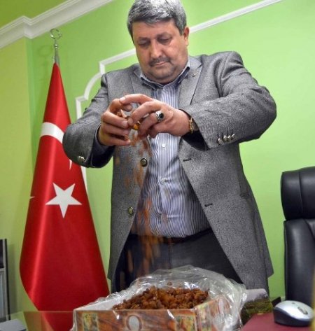 'Kuru Üzümün Başkenti Saruhanlı' isim hakkı müracaatı yapıldı