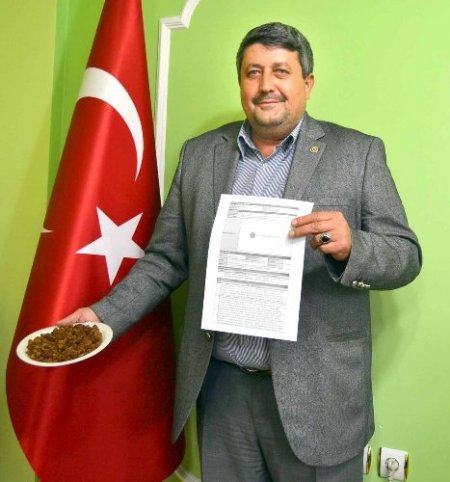 'Kuru Üzümün Başkenti Saruhanlı' isim hakkı müracaatı yapıldı