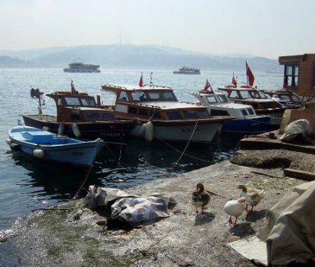 Kuruçeşme Sahilinde Ceset Bulundu