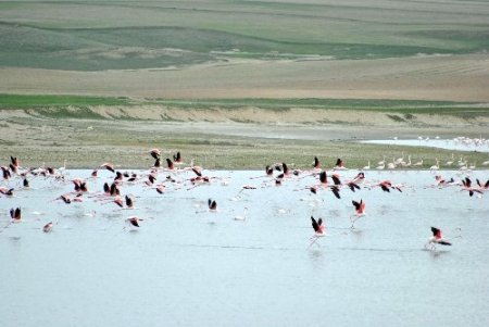 Kuruduğu için kuşların terk ettiği Düden Gölü yeniden eski ihtişamına kavuşuyor