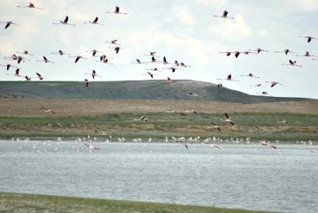 Kuruduğu için kuşların terk ettiği Düden Gölü yeniden eski ihtişamına kavuşuyor