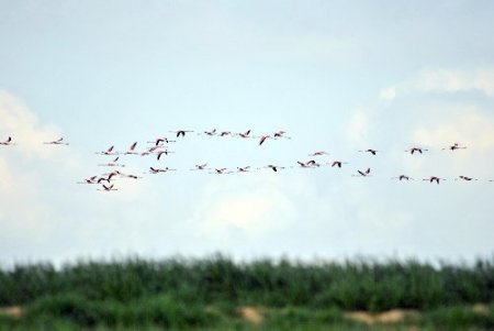 Kuruduğu için kuşların terk ettiği Düden Gölü yeniden eski ihtişamına kavuşuyor