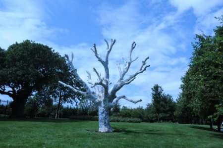 Kuruyan ağaçlar, sanatsal motiflerle hayat buluyor