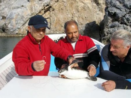 Kuşadası Caretta Caretta Cenneti Oldu