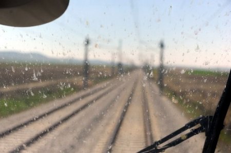 Kuşlar yüksek hızlı trene alıştı, sinekler hâlâ sıkıntı (Özel)