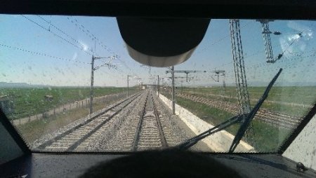 Kuşlar yüksek hızlı trene alıştı, sinekler hâlâ sıkıntı (Özel)