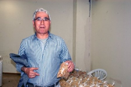 Kütahya Eğitim, Kültür ve Sanat Şenliği başladı