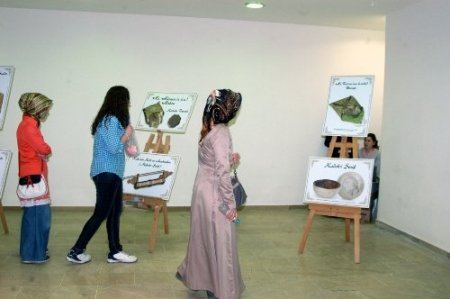 Kütahya Eğitim, Kültür ve Sanat Şenliği başladı