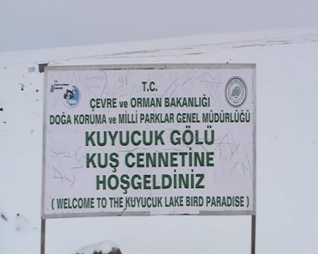 Kuyucuk Gölü son misafirlerini uğurluyor