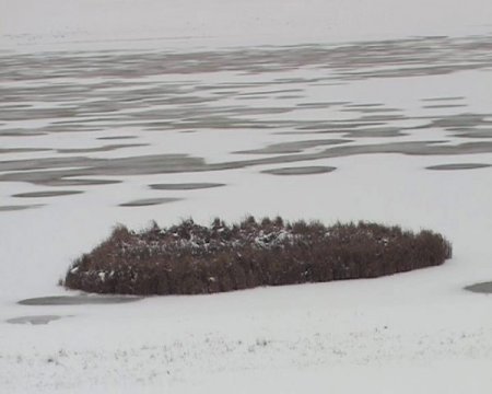 Kuyucuk Gölü son misafirlerini uğurluyor