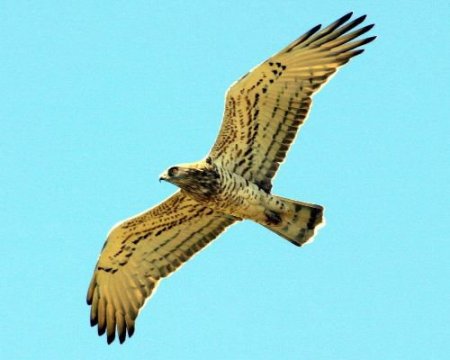 Kuyucuk Gölü'nü Koruma Projesi Birincilik Aldı