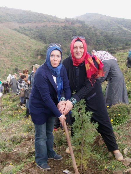 Lalezar Derneği 6 bin fidan dikti