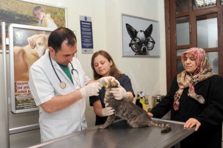 Leylek Hastanesi Yoğun İlgi Görüyor