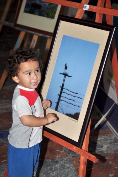 Leylekler Ölmesin Projesi Fotoğraf Sergisiyle Tanıtıldı