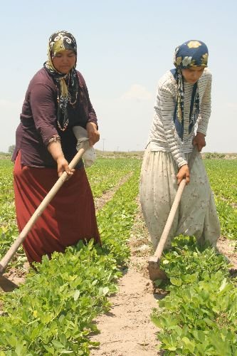 Liseli Irgat Kompozisyon Yarışmasında Kazandığı Ödülü Almak İçin Şanlıurfa'ya Gidemedi