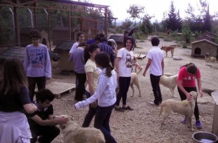 Liselilerden hayvan rehabilitasyon merkezine ziyaret