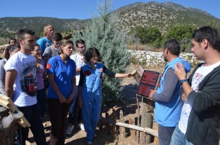 Lisinia, kansere karşı savaş başlattı