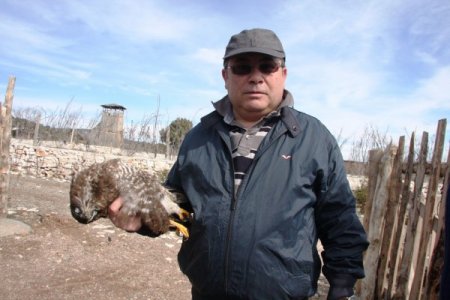 Lisinia 8‘inci yılını kuş salarak kutladı